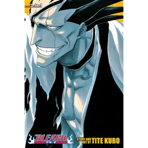 Bleach, Volumes 13-15