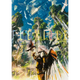 Sticky Image