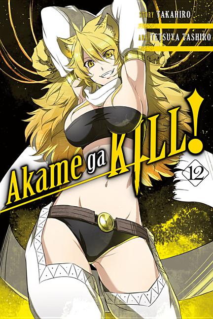 Akame Ga Kill!, Vol. 12: Volume 12