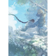 Sticky Image