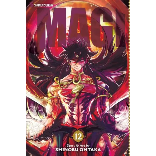 Magi: The Labyrinth of Magic, Vol. 12: The Labyrinth of Magic