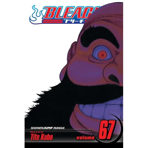 Bleach, Vol. 67: Black