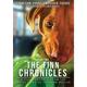 Sticky Image