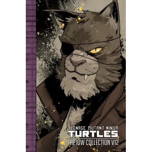 Teenage Mutant Ninja Turtles: The IDW Collection Volume 12