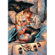 Sticky Image